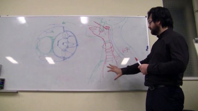 Анатомия фасций и биомеханика шеи смотреть онлайн