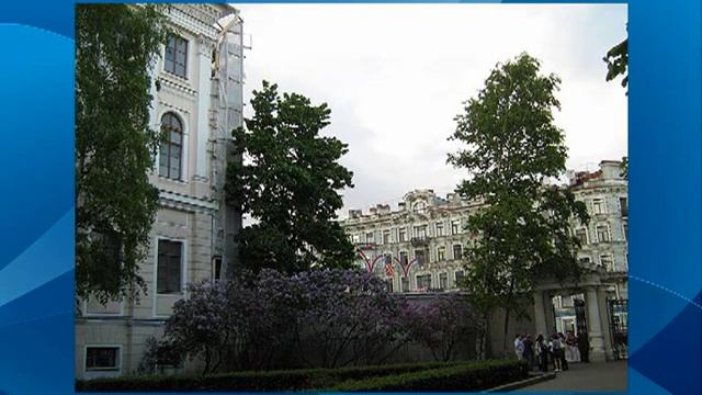 Francis Goya - Санкт-Петербург. Аничков мост. Аничков дворец смотреть онлайн