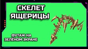 СКЕЛЕТ ЯЩЕРИЦЫ видео Green Screen анимация. ХРОМАКЕЙ ФУТАЖ на зелёном фоне.