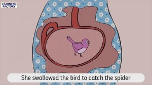 I Know An Old Lady Who Swallowed A Fly | #rhyming #nurseryrhyming #kidsrhyming