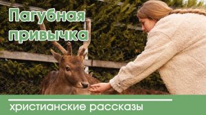 Пагубная привычка - ИНТЕРЕСНЫЙ ХРИСТИАНСКИЙ РАССКАЗ | Христианские рассказы