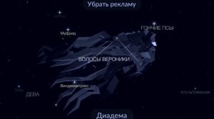 Легенда о созвездии "Волосы Вероники"