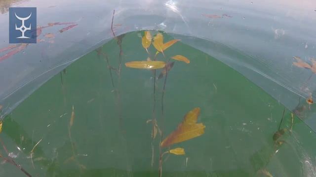 Прозрачная лодка от юрточного лагеря на Сонкуле Nomad's Dream смотреть онлайн