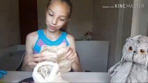 Кот Басик. Обзор. Одежда для Басика. Принадлежности для Басика.