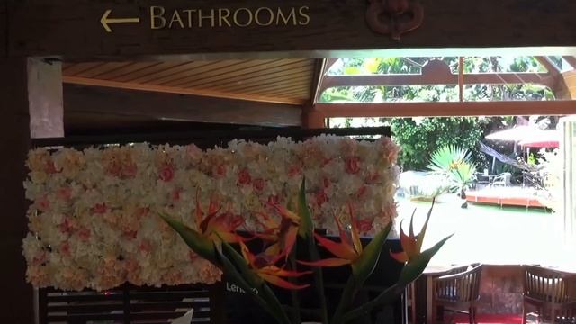 ?✨ Sony CX405 Camcorder unboxing + filming our trip to the Lost Spring | nz diaries смотреть онлайн