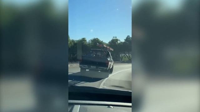 Fluffy Friends - Mispronounced Signs 3 смотреть онлайн