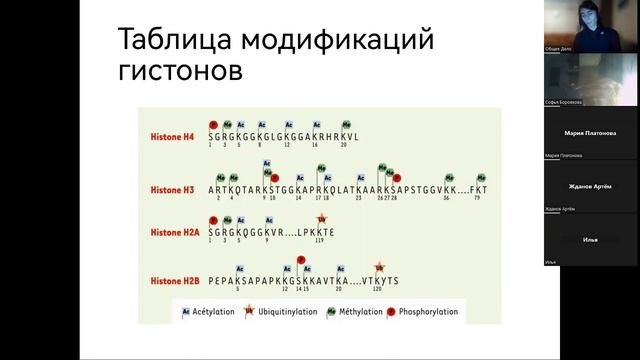 Механизмы регуляции транскрипции и посттранскрипционных модификаций у эукариот