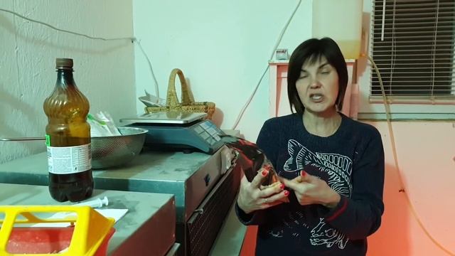 Рентабельность бройлеров Кобб 500 Расходы и рассказ о выращивании. 18-19 день от вылупа. смотреть онлайн