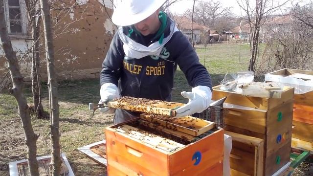 Биологично третиране с Чубрица против акар смотреть онлайн