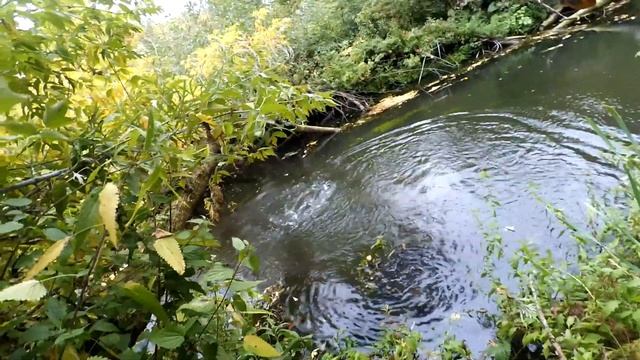 Щука на малой реке. Рыбалка в Пензенской области. смотреть онлайн