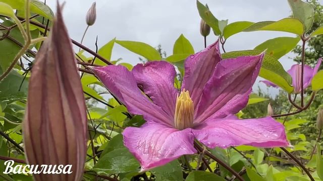 28 октября день Ефимия. Что нельзя делать 28 октября ДеньЕфимия . Народные традиции и приметы смотреть онлайн