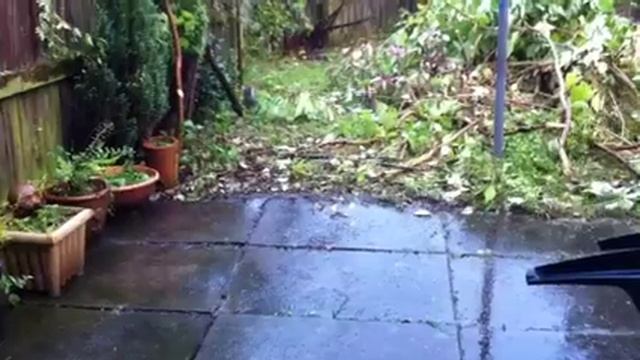 Мистер Белка смотреть онлайн