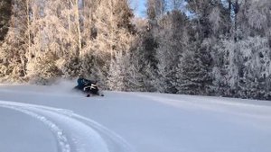 BRP LYNX 49 RANGER 600R E-TEC