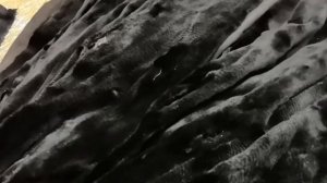 СТРИЖЕНАЯ НОРКА, ШУБА ИЗ СТРИЖЕНОЙ НОРКИ, ШКУРКИ СТРИЖЕНОЙ НОРКИ купить, мех норки СТРИЖЕНОЙ