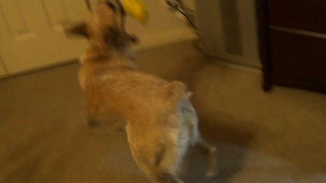 Учитесь радоваться жизни! — американская сказка на ночь смотреть онлайн