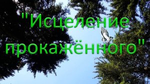 "Исцеление прокажённого". П. Шевель. МСЦ ЕХБ