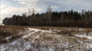 Покатушки на БАГГИ