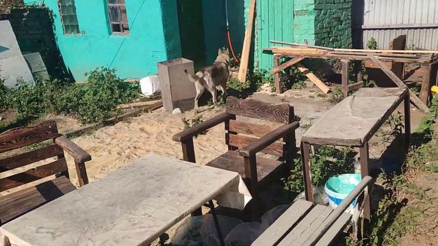 Быстрая Луна смотреть онлайн