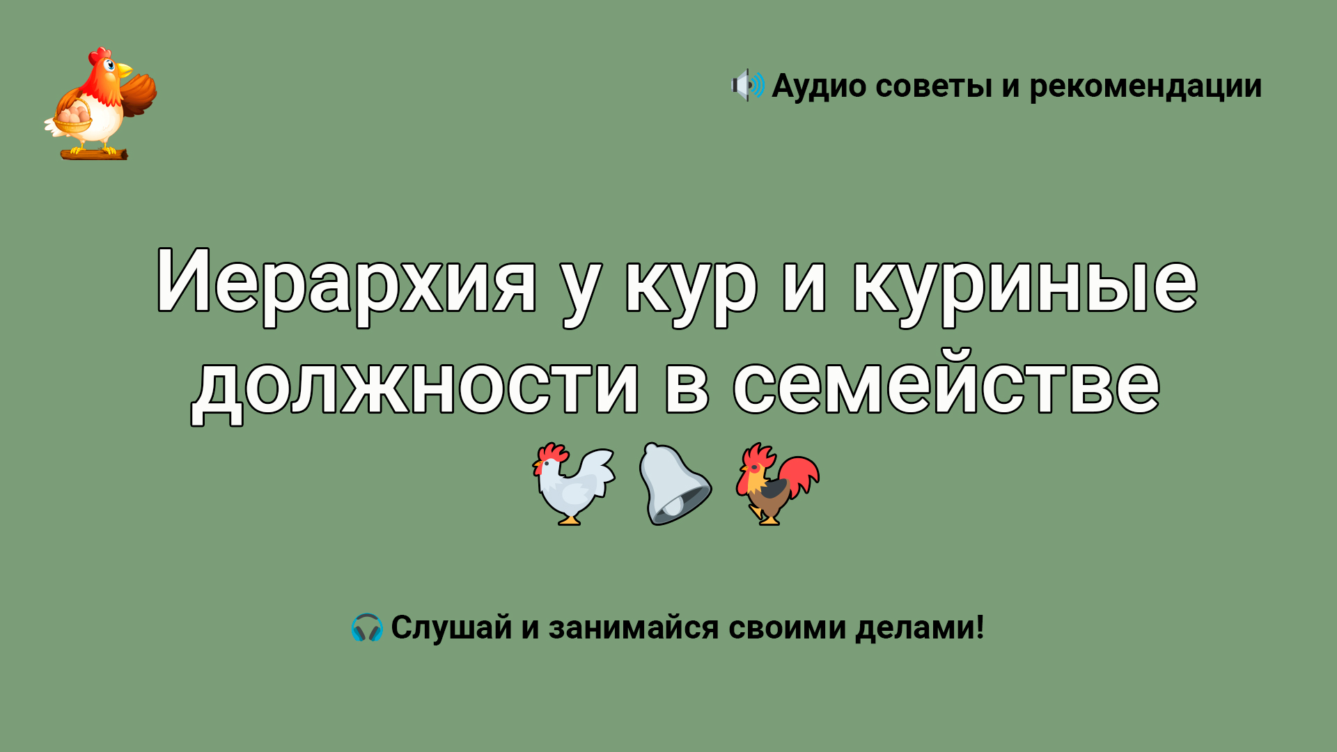 Иерархия у кур и куриные должности в семействе ???