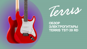 Обзор электрогитары TERRIS TST-39 RD