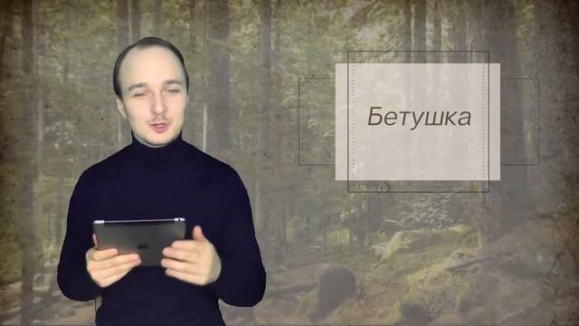 ? Архетип Отшельник | 9 аркан | ? На примере сказки Бетушка ?