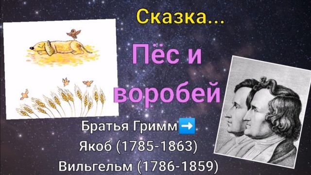 Сказка Братьев Гримм. Пёс и воробей смотреть онлайн