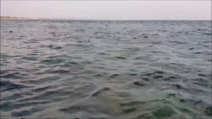 Как ловить саргана с берега на воблеры и мини-пилькеры ? Рыбалка на Кипре ?? Часть - 25 Сезон 2021