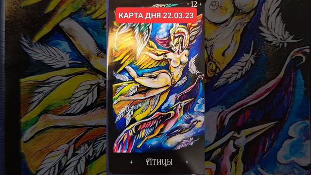 КАРТА ДНЯ 22.03.23