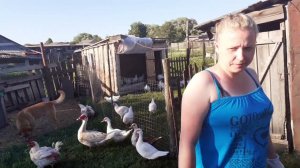 22 июля. Жизнь простых людей.Обрезка клубники , кормление птицы, наши будни летом.Приглашаю в гости.