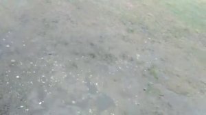 Разбавляю бензин на Yamaha Jog 50.