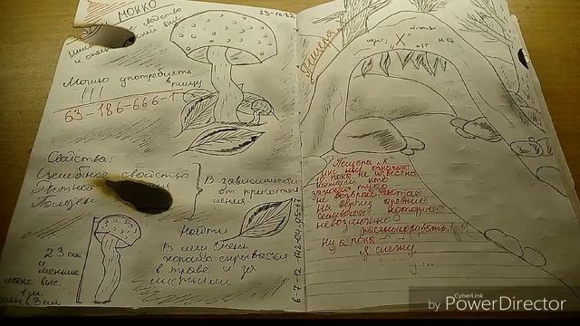 Самодельный дневник Гравити Фолз 📕 смотреть онлайн