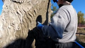 как  сделать КОРУ дерева  из  цемента на большом  старом  ДЕРЕВЕ  из арт   бетона.