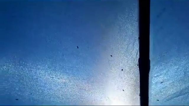 Якутия. Август. Мошка рвется в палатку! смотреть онлайн