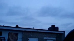 УАЗ Patriot на колёсах 37 дюймов