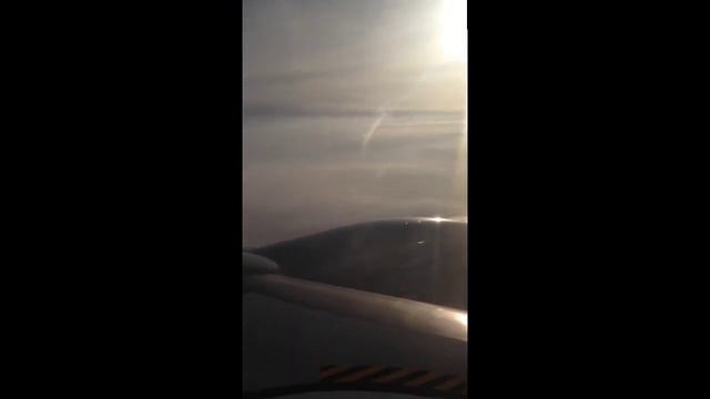 fs 491 смотреть онлайн