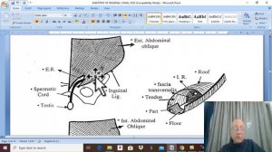 Anatomy GIT module 2020 ( Inguinal canal , part 1) , by Dr. Wahdan