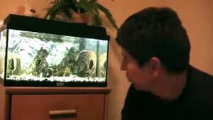 светодиодная подсветка аквариума своими руками