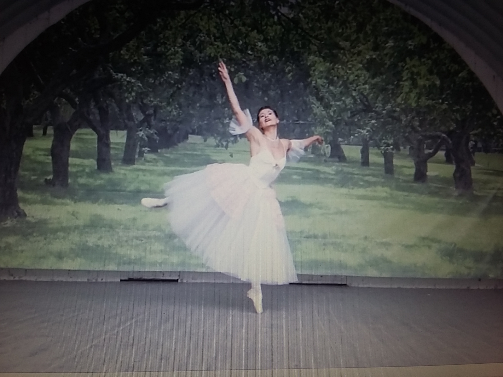 Менуэт. Поль Мориа - хореограф и балерина Маргарита Андреева смотреть онлайн