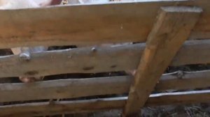 Обрешетка под сайдинг // Обошел окно и продолжаю каркасить