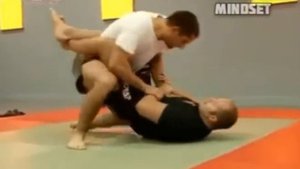 Фёдор Емельяненко Гегард Мусаси