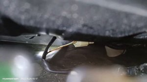 Toyota Alphard C1AED Rear Sensor Communication Circuit