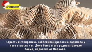 Артефакты древнего моря на Южном Урале