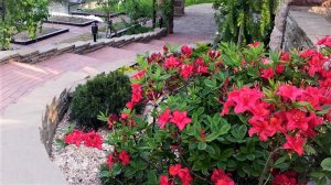 ?Идеи для загородного дома Ландшафтный дизайн и Обустройство / Landscaping ideas / A - Video