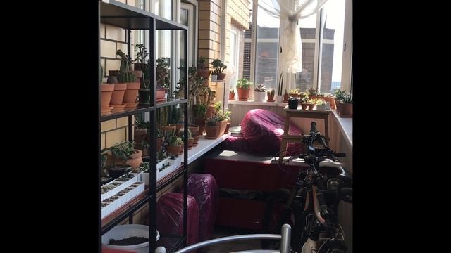 История одной толстянки и общий обзор. смотреть онлайн