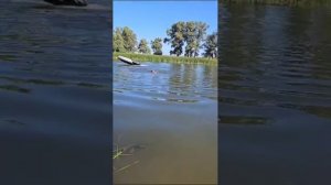 КАК Я ПЕРЕВЕРНУЛ ЛОДКУ! ХОЛОДНАЯ ВОДА