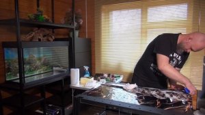 Мраморная крошка VS кварцевой. Часть 1. Запуск 2 аквариумов на 210л и на 130л.