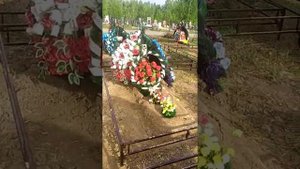 Как устроены кладбища в Новосибирске - сравните