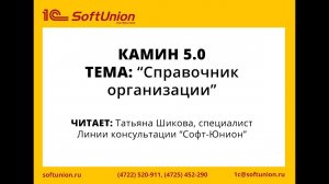 КАМИН 5.0. Заполняем справочник организации