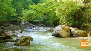 Адыгея - место силы. Доброе утро. Фрагмент выпуска от 05.10.2023