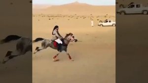 Самый Быстрая Лошадь в мире